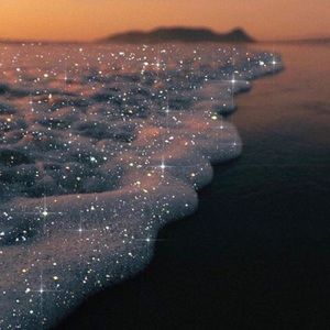 Meet your Posher, Gabrielle